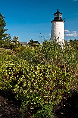 Wildflowers Surround Plum Island Lighthouse in Massachusetts